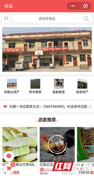 数字赋能，联通未来 张家界联通以互联网技术助力山区农业腾飞