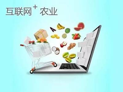 电商是农产品销售的“救世主”吗？——互联网销售的机遇与挑战